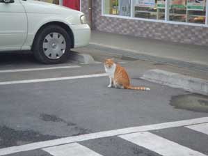 ���J�߂̂����t���肪�Ƃ��I