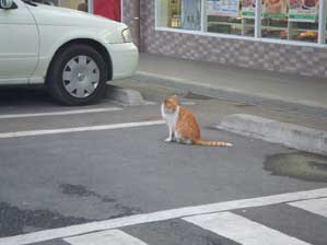 �����������܂ŉ����낤���ȁ`�H