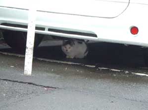 �����Ȃ�@�����ł����I