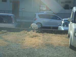 �܂��@�����Ă���I