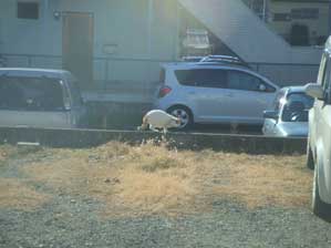 �C���Ă�I�@�����Ȃ�Ă��邩��ˁ`