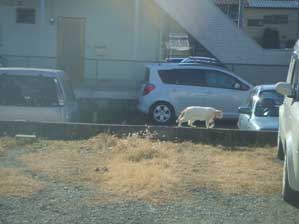 �ق�I�@�X�^�@�X�^�@�X�^�I