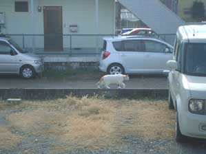 ������`�I