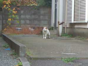 �����@���@���@�܁@���I