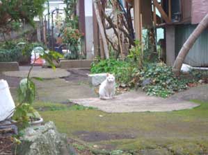 �ǂ����N���`