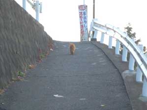 �l�`���@�y�����`�`�`��