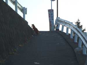 �܂̐Ղɂ́`�`��