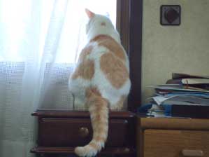 ��΂��@�����Ȃ���΁I