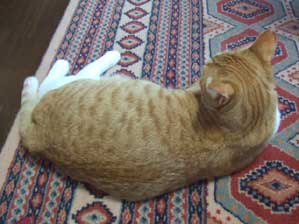 ���ł����`�@���ȗ\���`���@����`�`�I