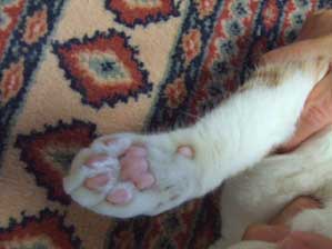 �n�C�@�n�C�A����ł����̂��ȁH�@�Y��ł���I