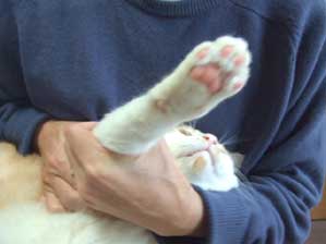 �O�Q�Q�Q�Q�`�`�@�߂܂��Ă��܂����`�`�I