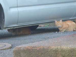 �����Ł`�����ǁ@��������������ˁB