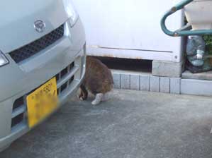 �K�B�����I