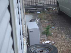 �s���I�@�s���I