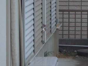 �����s�������ȁ`