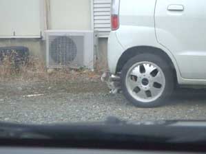 �����R�ɘA��čs���Ă������Ă��I