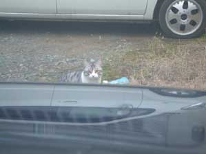 �s�����Ȃ���I�@�����ނ��Ȃ�����ˁB