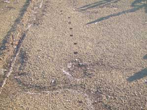 �W�`���Z�C�@���N�A�����`�@�N�`���A���T�`��