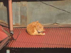 �����Ɓ@�������Ƃł��邯�ǁ@�����͂����܂ł���I