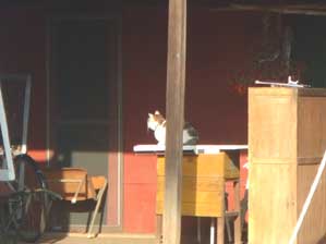 �V�`�`���I