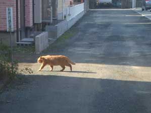 �������`�@������@���Ȃ�������Ă���̂��`