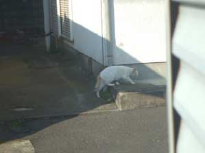 �����@�g�������Ȃ��ɍs��������`