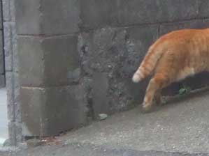 ���W���`�I