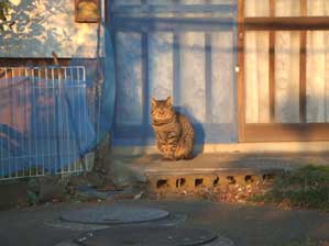 ������ῂ����`