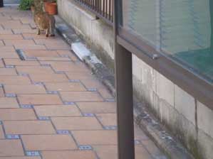 ���`���@���邳�`��