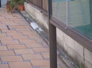 �N�����̂��Ă���ȁ`