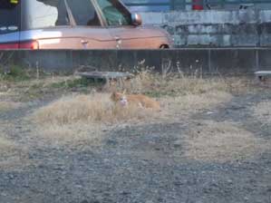 �������I�@���͌Ă�ł��Ȃ���I