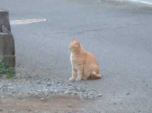 ���Ⴀ�@�ǂ�����@���̐��͕�������̂��ȁ`�H