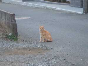 �����@�����I