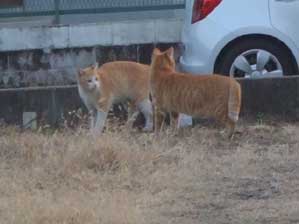 �r�b�N�������Ȃ��ł�I