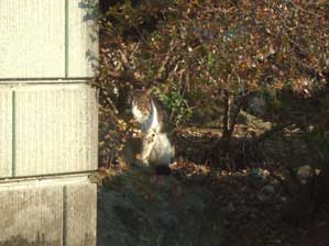 ���͂悤�������܂��I