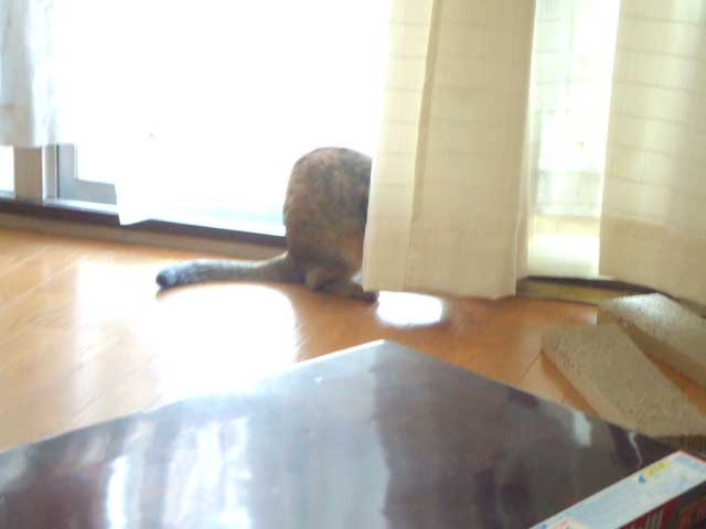 �͂��������`