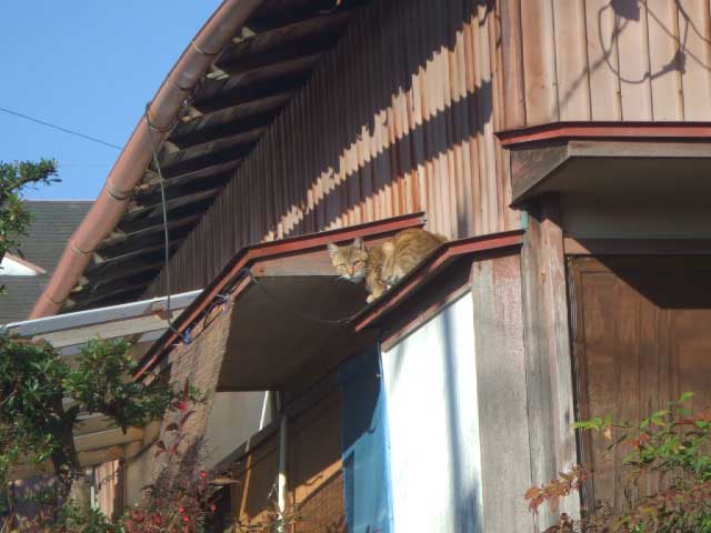 �͂��I�@�����ɂ͎������`