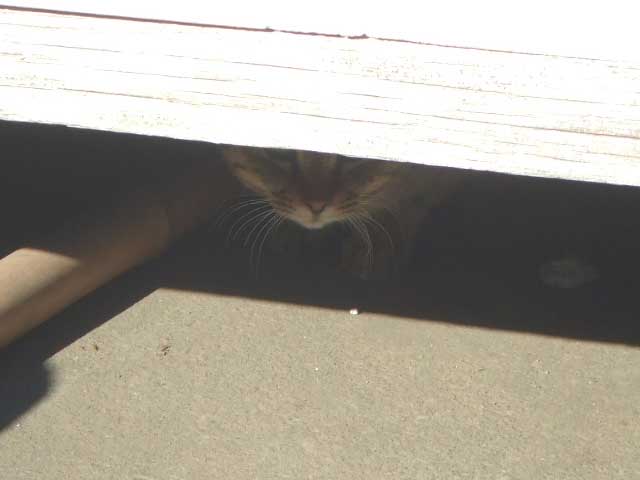 ��������������`