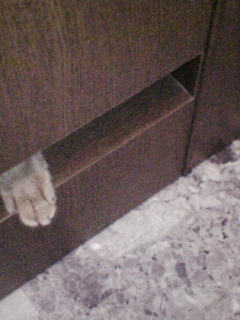 ���Z�����Ȃ�@�L�̎�݂���`�I