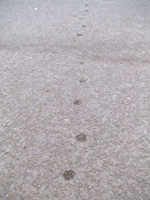 �e�P�@�e�P�@�e�P�I