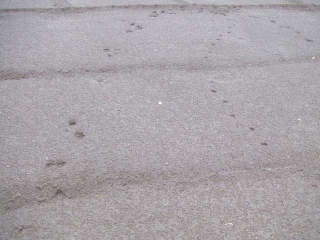 �e�P�@�e�P�@�e�P�I