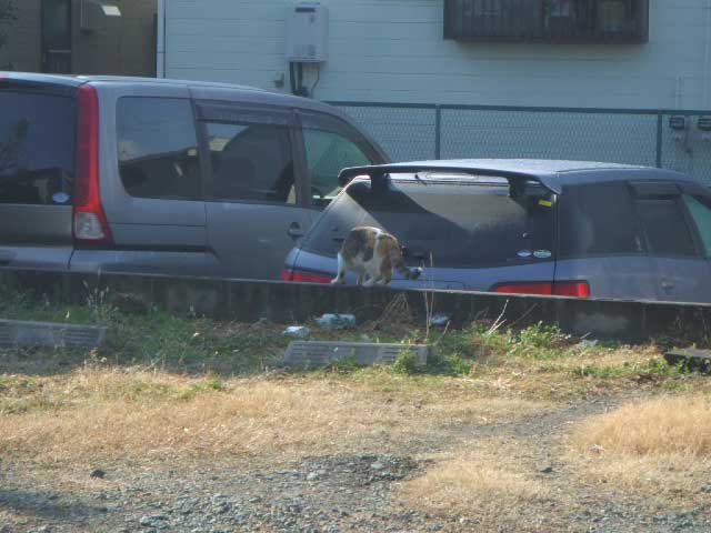 ���m�����������Ă��邺�I