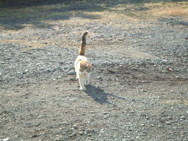 ���m�I�@���������Č����Ă����񂾂�I