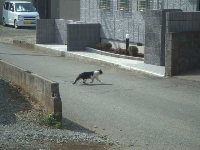 �����@��ꂽ��`