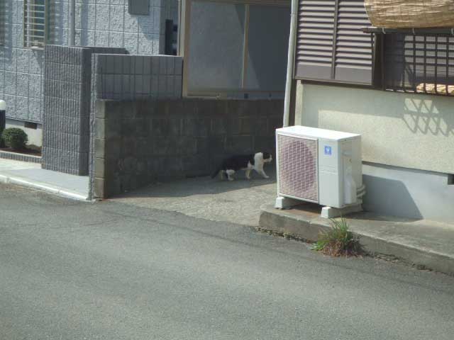 ���������I