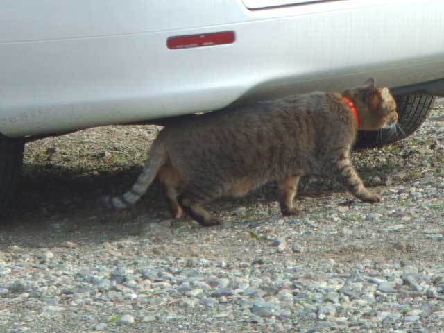 ��������ā@�w�����X���X���łˁB