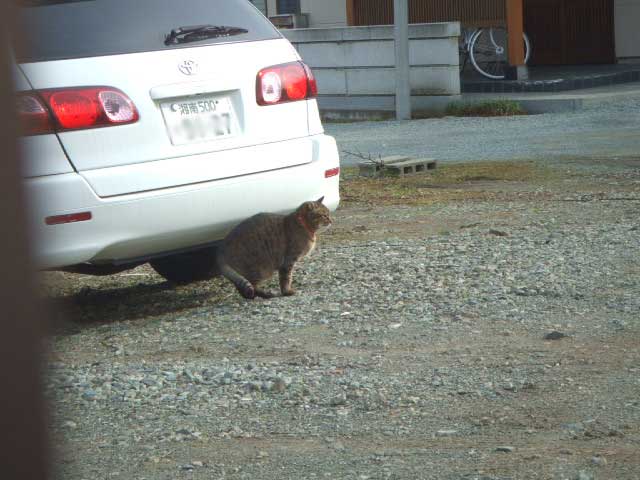 ����܂���ł����B