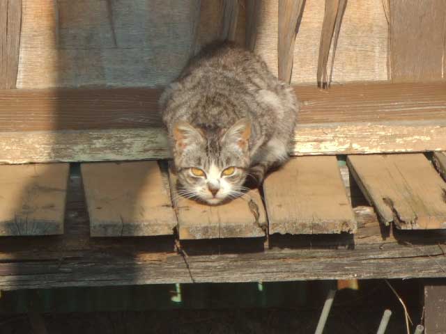 ����`���I