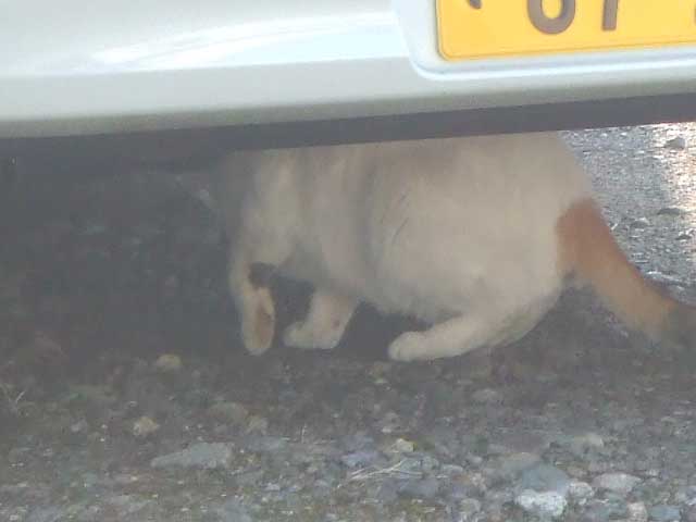 �������ƁI