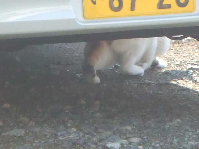 �L���[�p����������`�I